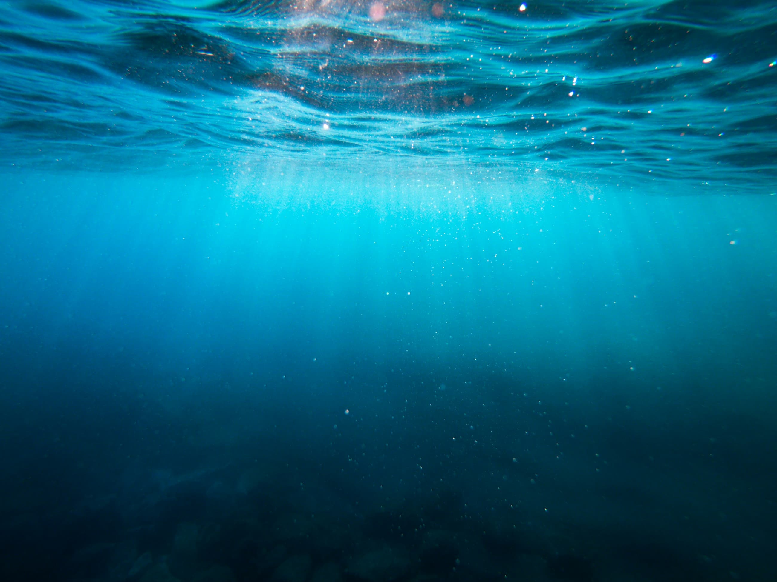 Sunlight breaking through the surface of the sea, seen from below.